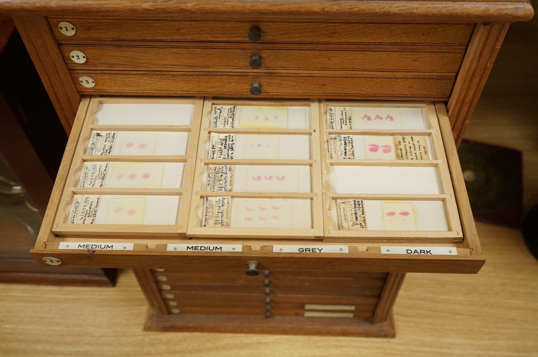 An early 20th century oak and plywood microscope slide cabinet, comprising of 20 drawers with ivorine numbers, containing slide holders and samples on slides from Orpington Hospital, dimensions; 55cm high, 37cm wide, 24.